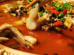 -沪小二炭火蛙锅(淮海中路美食不夜城店)