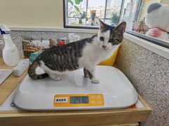 -谐和贝康宠物医院24小时·宠保定点(急重症转诊中心)