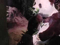 -湖南省地质博物馆