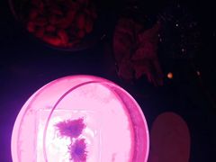 -广州四季酒店·天吧·高空酒吧