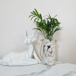 大堂-汐月Health纤体spa中心