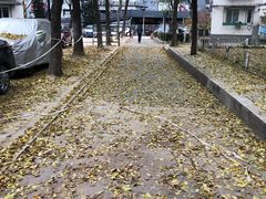 -星巴克(北京新辰里亚运村店)
