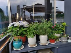 -MONICH牛排融合餐厅(和义大道购物中心店)