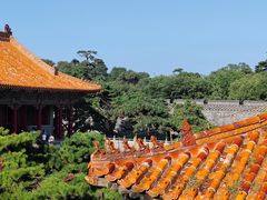 -北陵公园