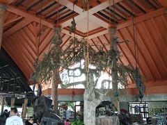 -清迈夜间动物园