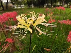 -白塘生态植物园