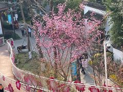 -成都市文化公园