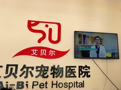 -艾贝尔宠物医院 ·内科全科(梁溪路店)