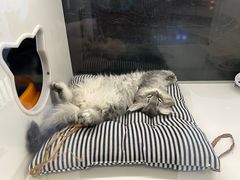 -万达影城(浦西万达广场激光IMAX店)