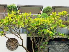 -明谷行馆·温泉