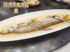 太湖白鱼-苏帮袁Sue Cuisine(来福士店)