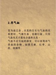 -Bollins波林丝•专研护发中心