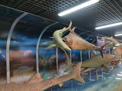 -山东省科技馆(新馆)