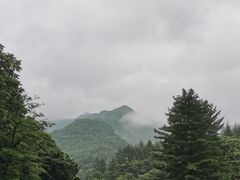 -本溪汤沟绿石谷森林公园