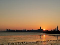 -深圳湾公园(南山区)