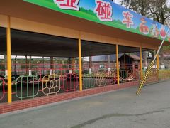 -成飞公园