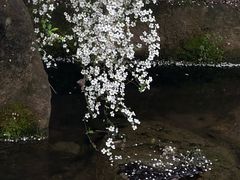 -中国茶叶博物馆(双峰馆区)