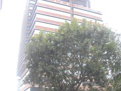 -香港理工大学