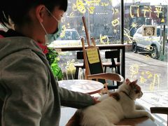 -平行世界·猫咖(首经贸店)