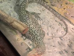 -上海大自然野生昆虫馆(东方明珠·爬宠昆虫探索中心)