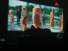 -枫花园汽车电影院(朝阳公园店)