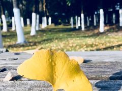 -尚贤河湿地