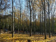 -森林公园(尖草坪区)