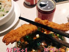 -红鼎坊·老成都火锅(新南门店)