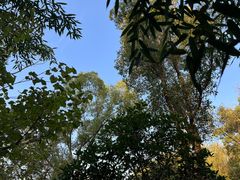 -昆山城市生态森林公园