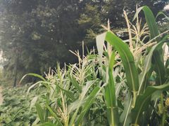 -苏州吴中太湖旅游区