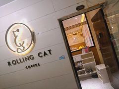 -滚猫咖啡·猫咖·猫友好撸猫(未来城店)