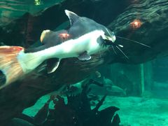 -华夏文旅海洋公园