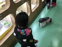 -藦茜花园宠物主题亲子互动体验馆(国顺东路店)