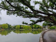 -江心屿景区