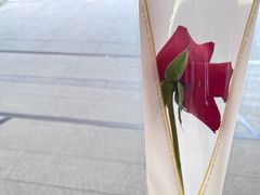 -MUJOSH木九十眼镜(武商广场店)