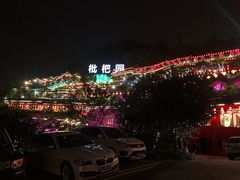 -枇杷园食为鲜火锅(南山店)
