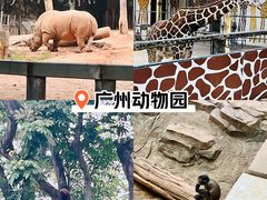 -广州动物园