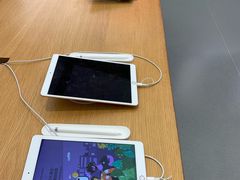 -Apple 零售店(Canton Road)