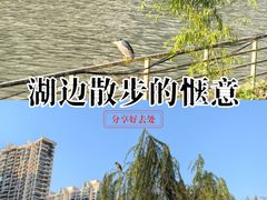 -苏州河梦清园环保主题公园