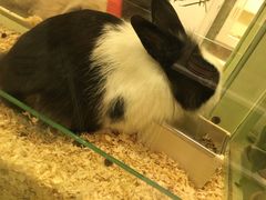 -龙猫仔乐园(惠福东路店)