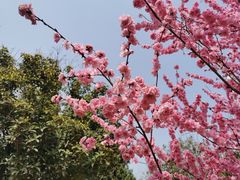 -陕西省西安植物园