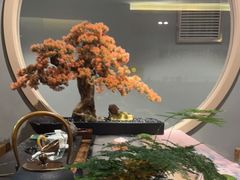 -东方菩提养生SPA馆(武昌总店)