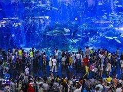 -成都浩海立方海洋公园