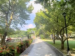 -庐山风景区花径公园