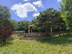 -北京西山国家森林公园