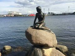 -美人鱼