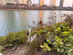 -志明眷村·台式融合菜·宵夜