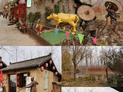 -合肥滨湖国家森林公园