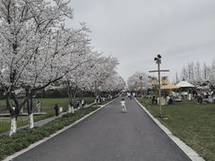 -长田漾湿地公园