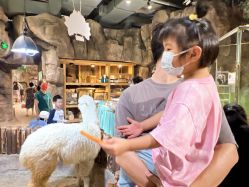 -宝燕乐园(闵行旗舰店)